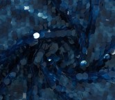 Blue degrad? sequins